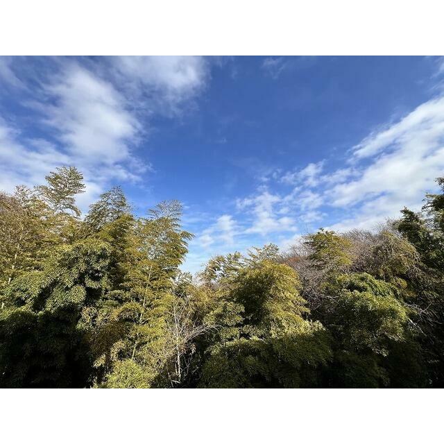 玄関を開けたところの景色