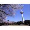 公園