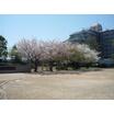 公園