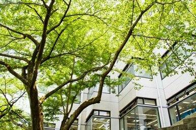 國學院大学図書館
