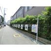 幼稚園、保育園