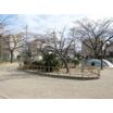 公園