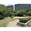 公園