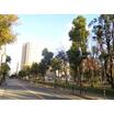 公園