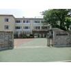 中学校