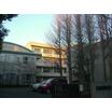 中学校