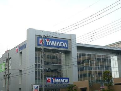 ヤマダ電機テックランド南越谷店