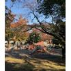 公園