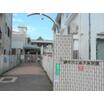 幼稚園、保育園