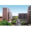 大学