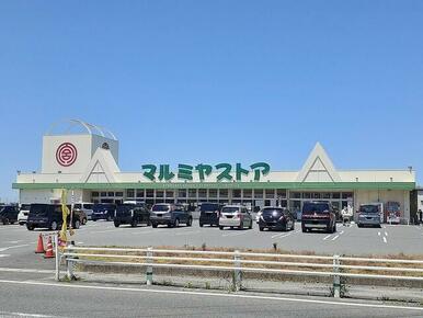 マルミヤストア