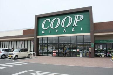 ＣＯＯＰ　ＭＩＹＡＧＩ古川南店