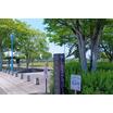 公園