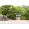 大学