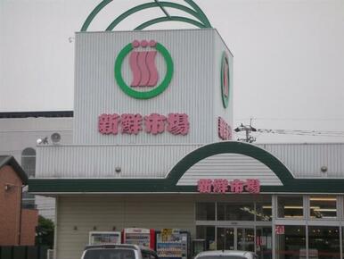 新鮮市場新川店