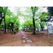 公園