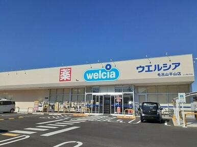 ウエルシア毛呂山平山店