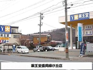 薬王堂盛岡緑が丘店