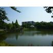 公園