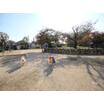 公園