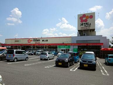 オザムバリュー野上店