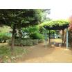 公園