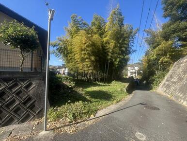現地写真（南東側より撮影）