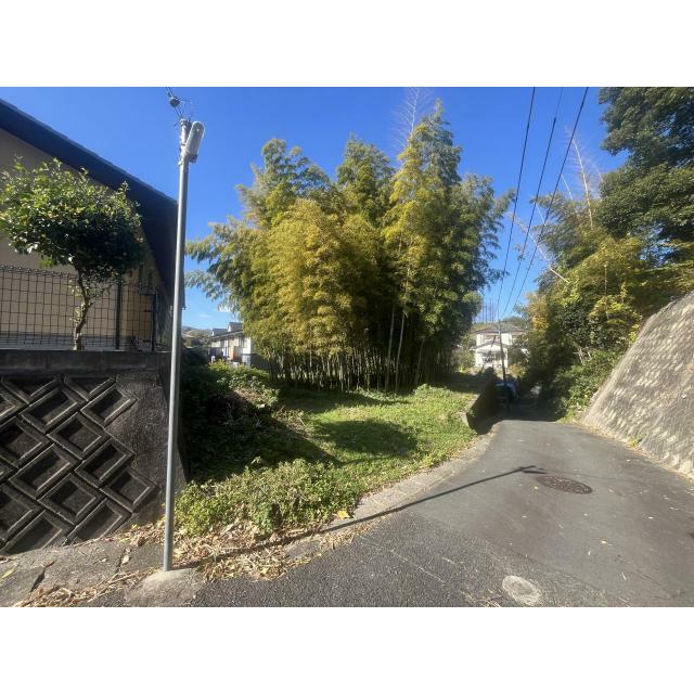 現地写真（南東側より撮影）
