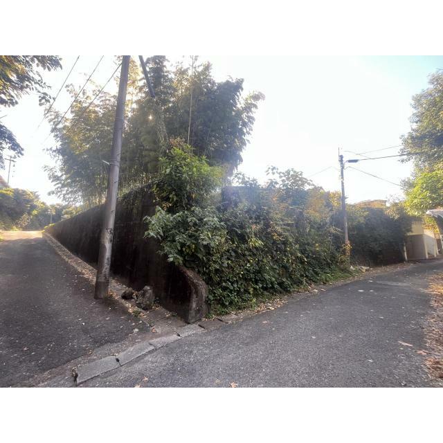 現地写真（北東側より撮影）