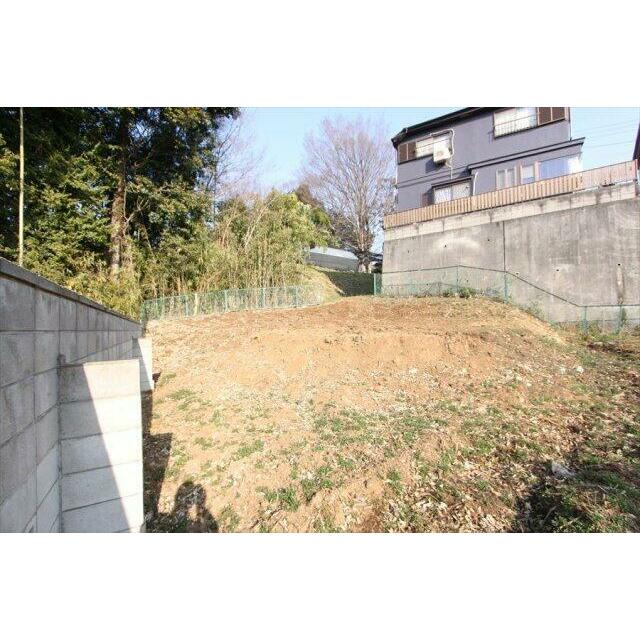 撮影日(2023年3月)