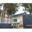 幼稚園、保育園