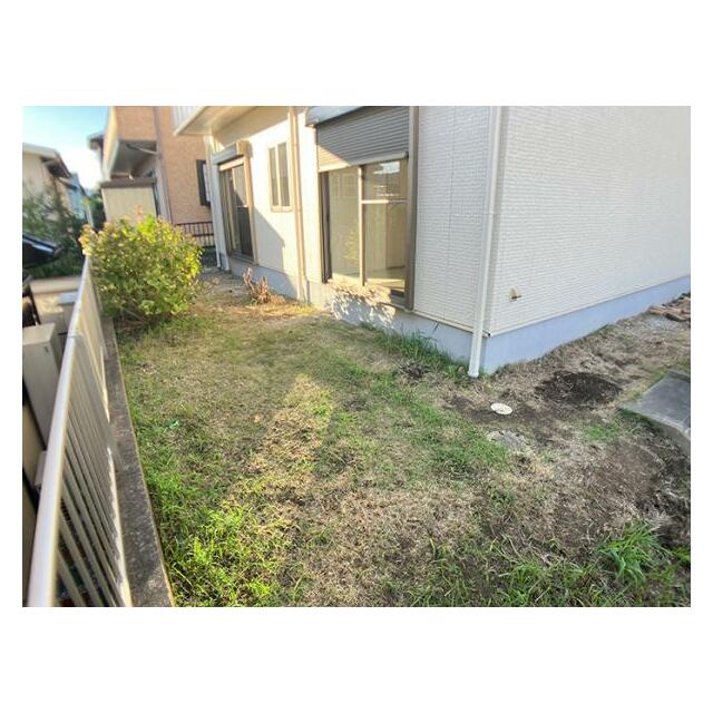 お庭の様子