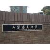 大学