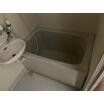 バス/シャワー