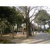 公園