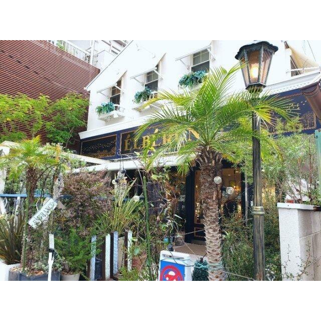 きれいな外観です