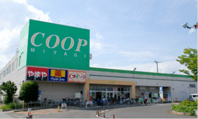 ＣＯＯＰ　ＭＩＹＡＧＩ岩沼店