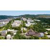 大学