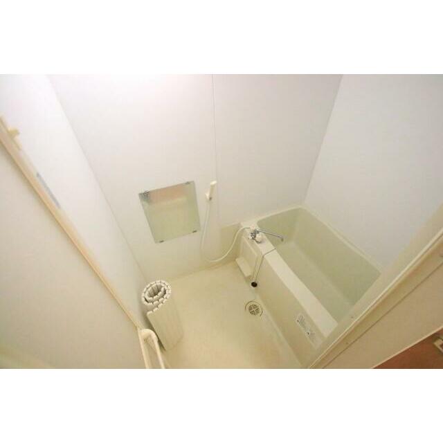 参考写真