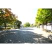 周辺環境