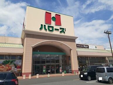 ハローズ駅家モール店