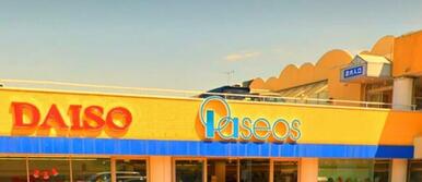 ザ・ダイソー　パシオス野川店