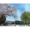 小学校