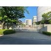 大学