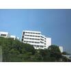 大学