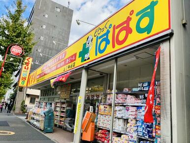 どらっぐぱぱす王子神谷店