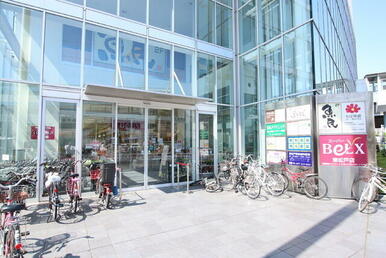 ベルクス東松戸店