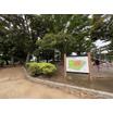 公園