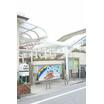 幼稚園、保育園