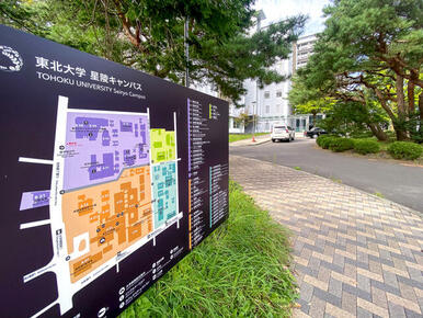 東北大学　星稜キャンパス